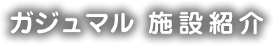 ガジュマル施設紹介